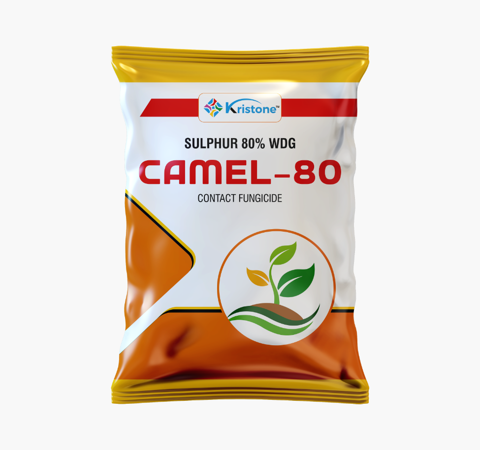 Camel-80