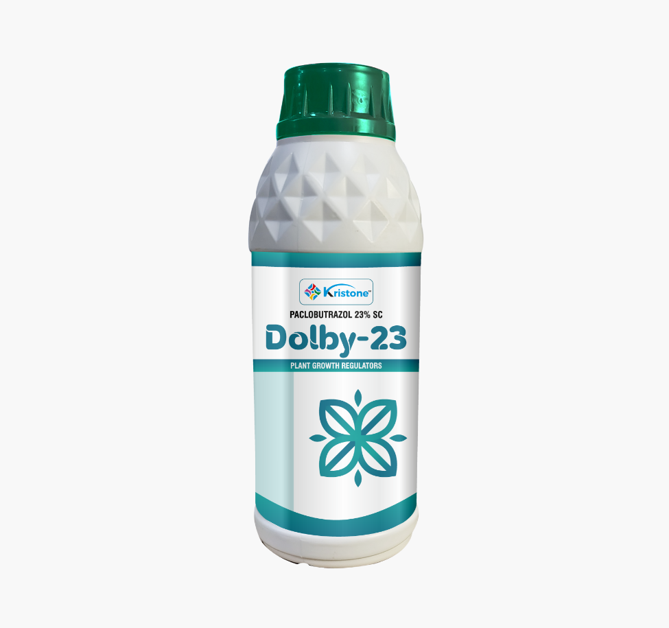 Dolby-23