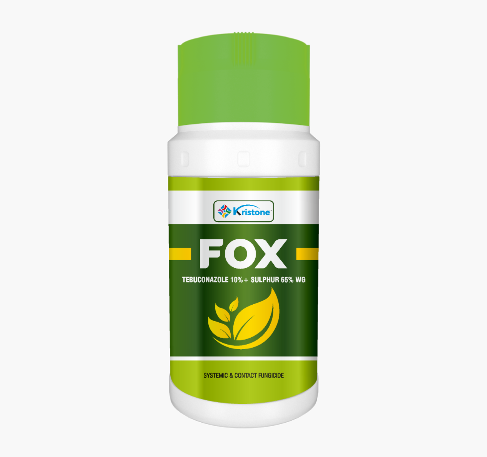 FOX