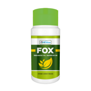Fox