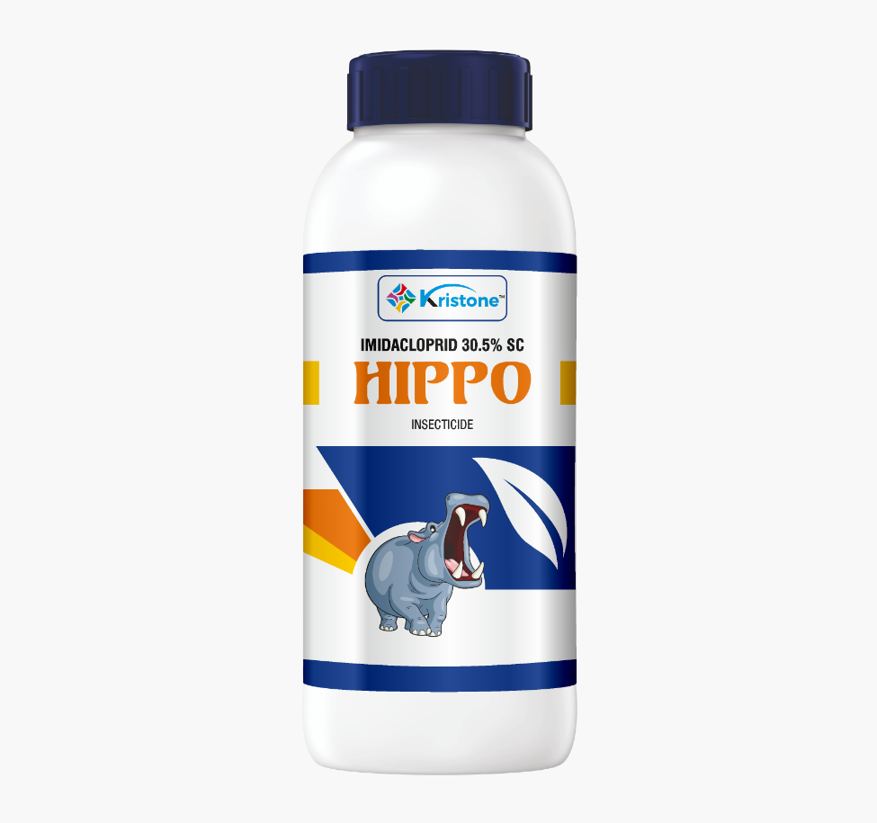 HIPPO