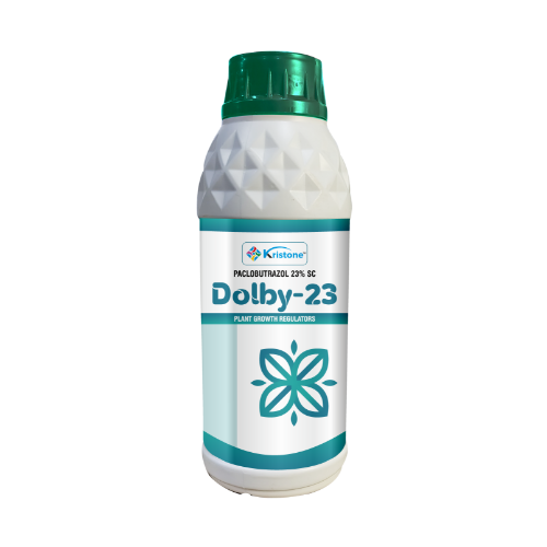 Dolby-23