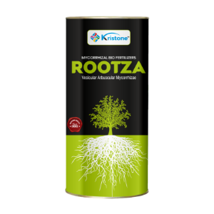 Rootza